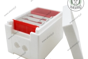 Ul Weselny Ulik Weselny polipropylenowy 3 ramkowy niemalowany