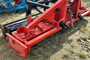 Brony wirowe Maschio