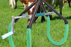 Urządzenie do podnoszenia krów do 900 kg.Podnośnik Biodrowy