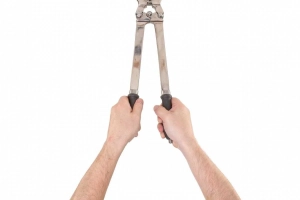 Bezkrwawe szczypce kastracyjne dla byków i koni.Kastrator