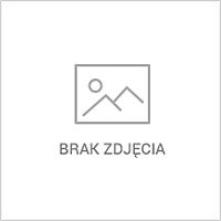 Rozrzutnik do obornika 4T dwuosiowy