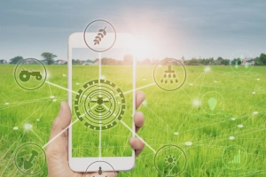 Autonomia, satelity i sztuczna inteligencja: dlaczego rok 2025 zmienia rynek maszyn rolniczych?