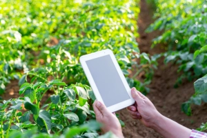 Ruszył nabór wniosków na rozwój małych gospodarstw – nawet 120 000 zł wsparcia dla rolników!